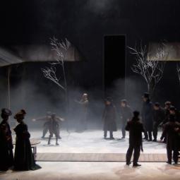 FORTUNIO . DENIS PODALYDES . 2009