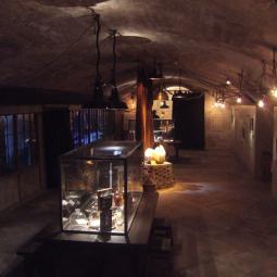 PIERRE CURIE . CRYPTE DU PANTHEON . PARIS . 2006
