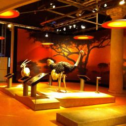 LES SURVIVANTS DE L'EXTREME . PALAIS DE LA DECOUVERTE . 2011