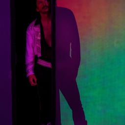 KARAOKE . Anne Laure Liegeois . 2007